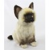 Ragdoll Plush Kitten